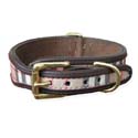 dogcollar
